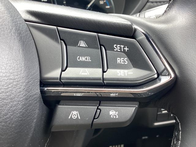 ＣＸ－８ ２．２　ＸＤ　エクスクルーシブ　モード　ディーゼルターボ　４　６人乗り　３６０度カメラ　サンルーフ　シートヒーター　３６０度ビュー　ＢＴオーディオ　オートハイビーム　パワーゲート　ワンオーナー車　ＡＷＤ　ＬＫＡ　ＬＥＤヘッドライト　本革シート　ＵＳＢ　サンルーフ（23枚目）