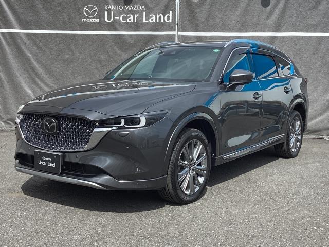 ＣＸ－８ ２．２　ＸＤ　エクスクルーシブ　モード　ディーゼルターボ　４　６人乗り　３６０度カメラ　サンルーフ　シートヒーター　３６０度ビュー　ＢＴオーディオ　オートハイビーム　パワーゲート　ワンオーナー車　ＡＷＤ　ＬＫＡ　ＬＥＤヘッドライト　本革シート　ＵＳＢ　サンルーフ（35枚目）