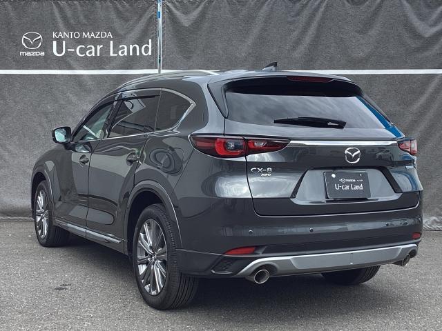 ＣＸ－８ ２．２　ＸＤ　エクスクルーシブ　モード　ディーゼルターボ　４　６人乗り　３６０度カメラ　サンルーフ　シートヒーター　３６０度ビュー　ＢＴオーディオ　オートハイビーム　パワーゲート　ワンオーナー車　ＡＷＤ　ＬＫＡ　ＬＥＤヘッドライト　本革シート　ＵＳＢ　サンルーフ（37枚目）
