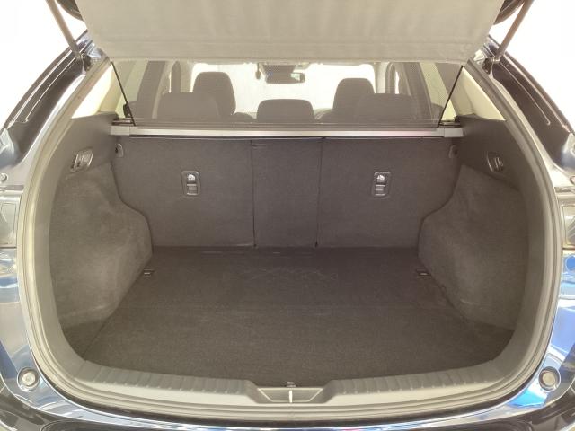 CX-5 2.0 20S スマート エディション ワンオーナー 後席モニター 全周囲カメラ LEDヘッドライト ETC ドライブレコーダー アクセル踏み間違い防止装置 ブレーキサポート 360度ビューモニター オートLED LED 地デジ BT(11枚目)