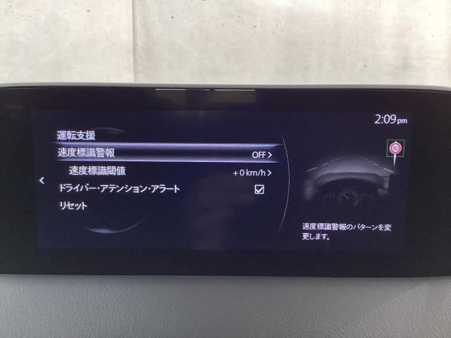 CX-5 2.0 20S スマート エディション ワンオーナー 後席モニター 全周囲カメラ LEDヘッドライト ETC ドライブレコーダー アクセル踏み間違い防止装置 ブレーキサポート 360度ビューモニター オートLED LED 地デジ BT(15枚目)