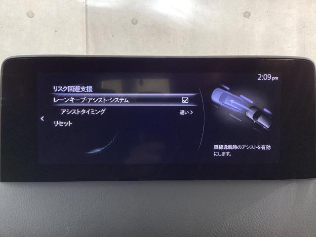 CX-5 2.0 20S スマート エディション ワンオーナー 後席モニター 全周囲カメラ LEDヘッドライト ETC ドライブレコーダー アクセル踏み間違い防止装置 ブレーキサポート 360度ビューモニター オートLED LED 地デジ BT(16枚目)