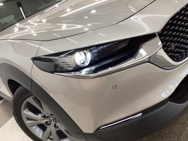 ＣＸ－３０ ２．０　２０Ｓ　ワンオーナー　バックカメラ　ＬＥＤヘッドライト　ＥＴＣ２．０　アクセル踏み間違い防止装置　衝突被害軽減ブレーキ　バックカメラ　アダプティブクルーズ　ワンオーナー　Ｂｌｕｅｔｏｏｔｈ接続（28枚目）