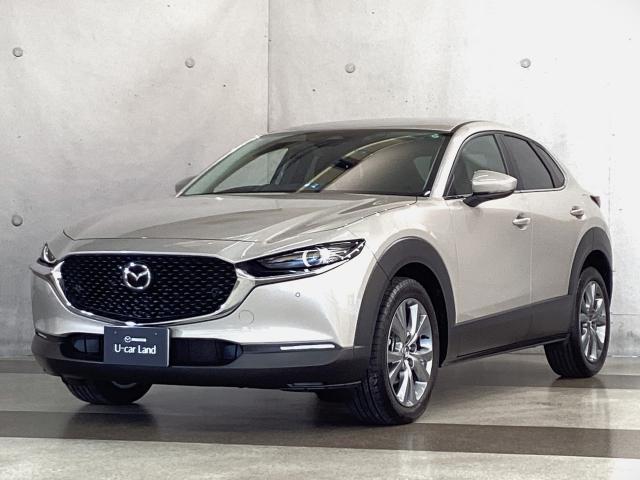 ＣＸ－３０ ２．０　２０Ｓ　ワンオーナー　バックカメラ　ＬＥＤヘッドライト　ＥＴＣ２．０　アクセル踏み間違い防止装置　衝突被害軽減ブレーキ　バックカメラ　アダプティブクルーズ　ワンオーナー　Ｂｌｕｅｔｏｏｔｈ接続（35枚目）