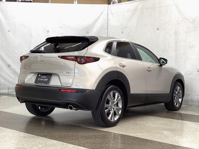 ＣＸ－３０ ２．０　２０Ｓ　ワンオーナー　バックカメラ　ＬＥＤヘッドライト　ＥＴＣ２．０　アクセル踏み間違い防止装置　衝突被害軽減ブレーキ　バックカメラ　アダプティブクルーズ　ワンオーナー　Ｂｌｕｅｔｏｏｔｈ接続（38枚目）