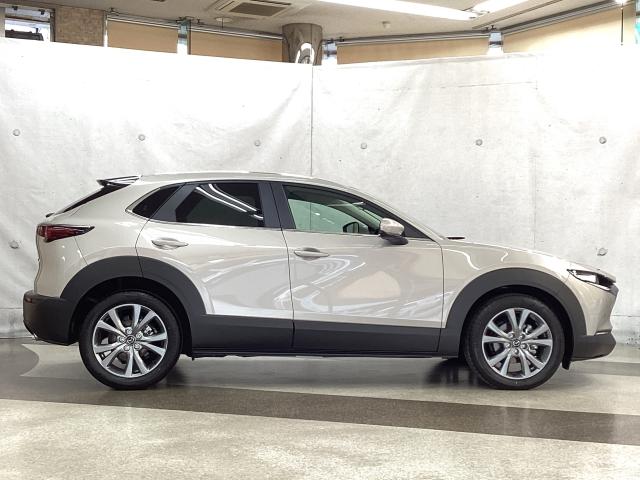 ＣＸ－３０ ２．０　２０Ｓ　ワンオーナー　バックカメラ　ＬＥＤヘッドライト　ＥＴＣ２．０　アクセル踏み間違い防止装置　衝突被害軽減ブレーキ　バックカメラ　アダプティブクルーズ　ワンオーナー　Ｂｌｕｅｔｏｏｔｈ接続（39枚目）