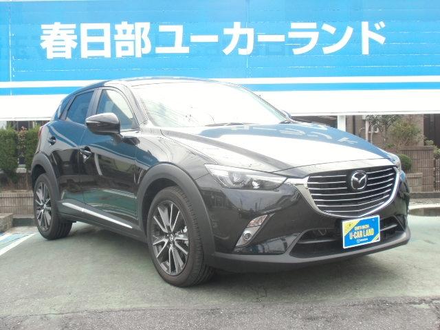 XD ツーリング-L 2WD マツコネナビ 地デジ ETC(16枚目)