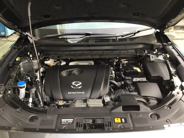 25S L-PKG AWD 前後衝突被害軽減B 全周囲M BOSE付(10枚目)
