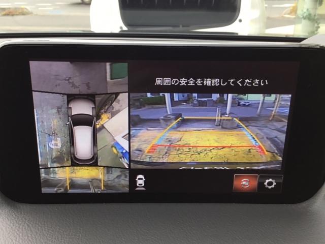 25S L-PKG AWD 前後衝突被害軽減B 全周囲M BOSE付(14枚目)
