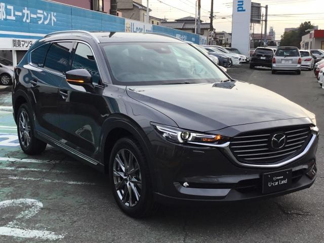 25S L-PKG AWD 前後衝突被害軽減B 全周囲M BOSE付(16枚目)
