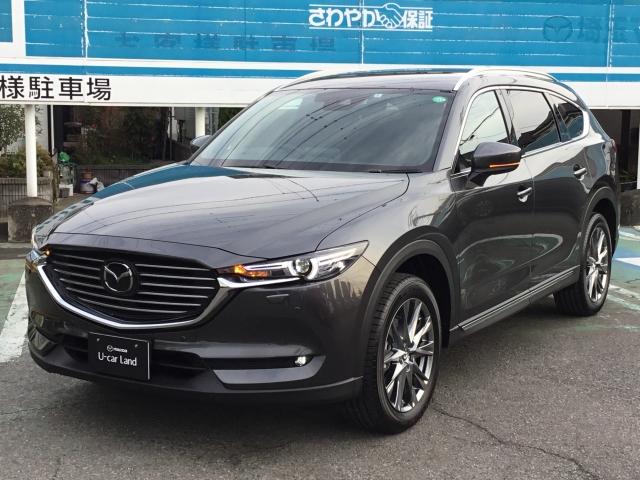 25S L-PKG AWD 前後衝突被害軽減B 全周囲M BOSE付(17枚目)