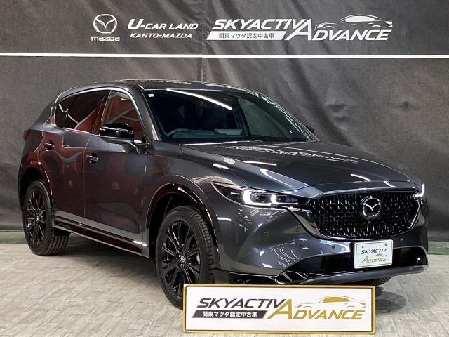 ＣＸ－５ ２５Ｓ　スポーツ　アピアランス　２ＷＤ　マツコネナビ　地デジ　３６０℃ビュー　ＥＴＣ　ＢＯＳＥ　１９インチアルミ　ワンオーナー　スマートキープッシュスタート　フルセグ　レザーシート　ＢＴオーディオ　ＥＴＣ車載器　前席シートヒーター　ナビＴＶ（40枚目）