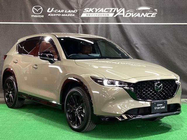 CX-5 XD レトロスポーツエディション 2WD 特別仕様車 360℃ビュー BOSE ETC2.0 前後ドライブレコーダー エアバック フルオートエアコン 地上デジタル LEDヘッドライト パワーリフトゲート パワステ アイドリングストップ USB(40枚目)