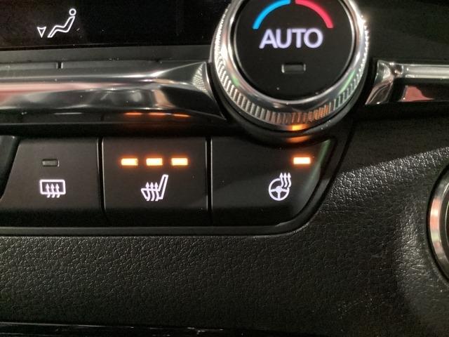 MAZDA3ファストバック XD 100周年特別記念車 2WD BOSE 360°モニター リモコンスタータ ドラレコ 360°カメラ レーダークルーズコントロール 衝突軽減ブレーキ フルセグTV LEDヘッドライト パーキングセンサー DVD Pシート ETC(21枚目)