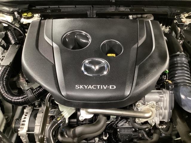 MAZDA3ファストバック XD 100周年特別記念車 2WD BOSE 360°モニター リモコンスタータ ドラレコ 360°カメラ レーダークルーズコントロール 衝突軽減ブレーキ フルセグTV LEDヘッドライト パーキングセンサー DVD Pシート ETC(30枚目)