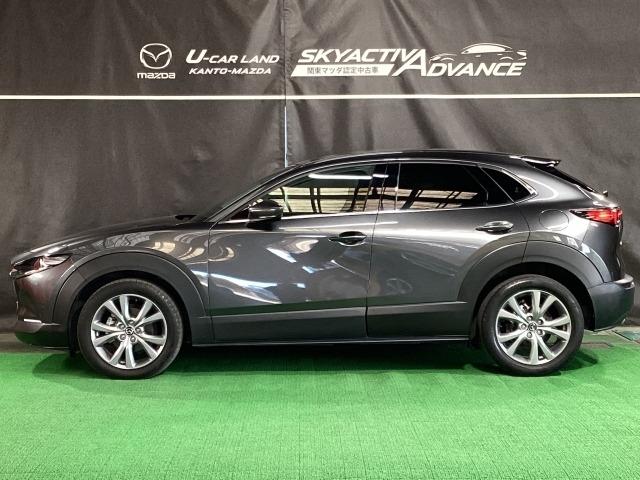 CX-30 20S プロアクティブ ツーリングセレクション 2WD マツコネナビ 地デジ バックカメラ ETC 18インチアルミ ワンオーナー レーダークルーズC 車線逸脱防止 ナビTV DVDプレーヤー ドライブレコーダー フルセグTV アドバンスドキー Pシート(36枚目)