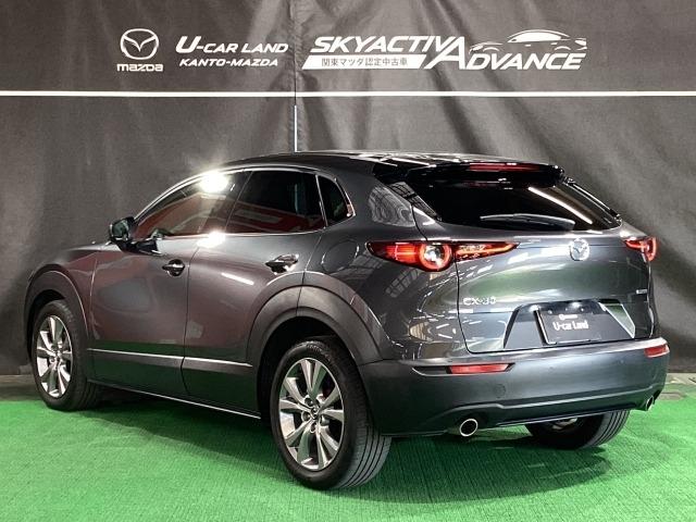 CX-30 20S プロアクティブ ツーリングセレクション 2WD マツコネナビ 地デジ バックカメラ ETC 18インチアルミ ワンオーナー レーダークルーズC 車線逸脱防止 ナビTV DVDプレーヤー ドライブレコーダー フルセグTV アドバンスドキー Pシート(37枚目)