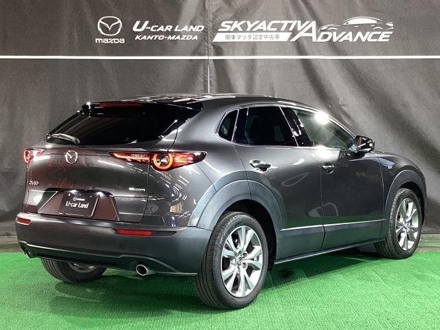 CX-30 20S プロアクティブ ツーリングセレクション 2WD マツコネナビ 地デジ バックカメラ ETC 18インチアルミ ワンオーナー レーダークルーズC 車線逸脱防止 ナビTV DVDプレーヤー ドライブレコーダー フルセグTV アドバンスドキー Pシート(38枚目)