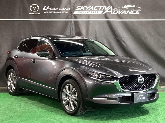 CX-30 20S プロアクティブ ツーリングセレクション 2WD マツコネナビ 地デジ バックカメラ ETC 18インチアルミ ワンオーナー レーダークルーズC 車線逸脱防止 ナビTV DVDプレーヤー ドライブレコーダー フルセグTV アドバンスドキー Pシート(40枚目)