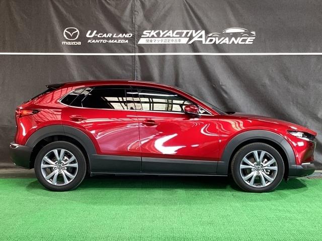 CX-30 20S プロアクティブ ツーリングセレクション 2WD マツコネナビ 地デジ 360℃ビュー ETC 18インチアルミ ワンオーナー Bluetoothオーディオ 電動テールゲート 衝突軽減装置 前席シートヒーター ミュージックプレイヤー接続可 地デジ(39枚目)