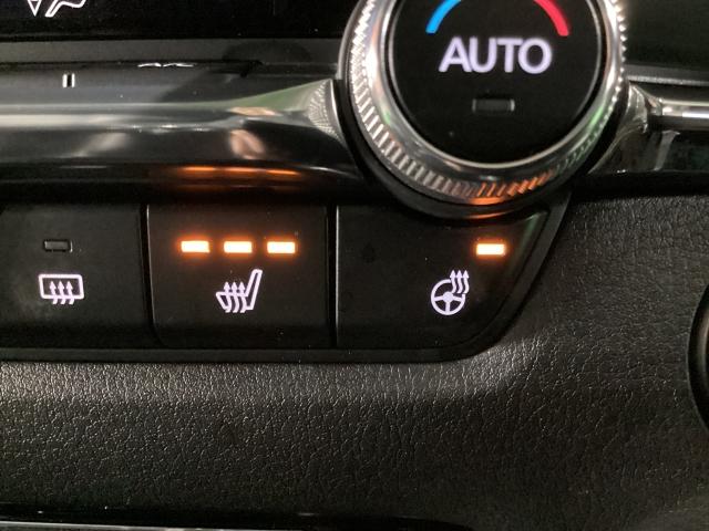 CX-30 2.0 20S プロアクティブ ツーリングセレクション レーダークルーズC 車線逸脱防止 ナビTV DVDプレーヤー ドライブレコーダー フルセグTV アドバンスドキー Pシート LEDヘッドライト Sヒーター キーレス ミュージックプレイヤー接続可(21枚目)