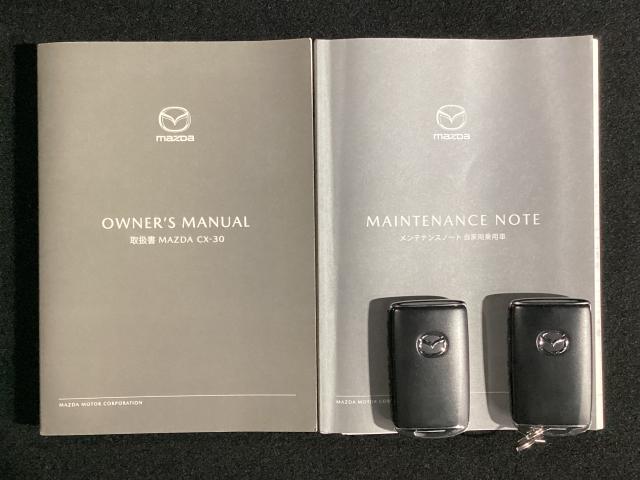 CX-30 2.0 20S プロアクティブ ツーリングセレクション レーダークルーズC 車線逸脱防止 ナビTV DVDプレーヤー ドライブレコーダー フルセグTV アドバンスドキー Pシート LEDヘッドライト Sヒーター キーレス ミュージックプレイヤー接続可(29枚目)