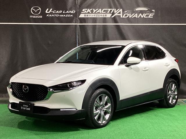 CX-30 2.0 20S プロアクティブ ツーリングセレクション レーダークルーズC 車線逸脱防止 ナビTV DVDプレーヤー ドライブレコーダー フルセグTV アドバンスドキー Pシート LEDヘッドライト Sヒーター キーレス ミュージックプレイヤー接続可(35枚目)