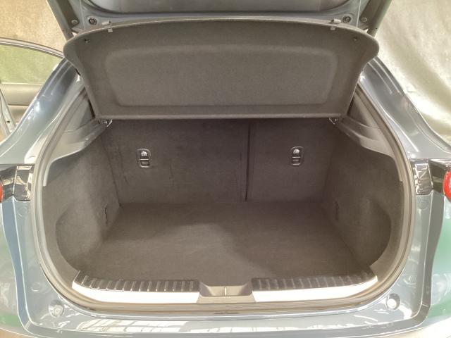 CX-30 2.0 20S Lパッケージ 4WD スマートブレーキ 1オーナー Bluetooth対応 LKAS 本革シート 地デジ クリソナ 点検記録簿 アドバンストキー AWD DVD ナビTV Dレコ 横滑り防止装置 LEDヘッドライト ETC(11枚目)