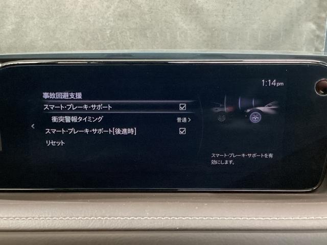 CX-30 2.0 20S Lパッケージ 4WD スマートブレーキ 1オーナー Bluetooth対応 LKAS 本革シート 地デジ クリソナ 点検記録簿 アドバンストキー AWD DVD ナビTV Dレコ 横滑り防止装置 LEDヘッドライト ETC(15枚目)