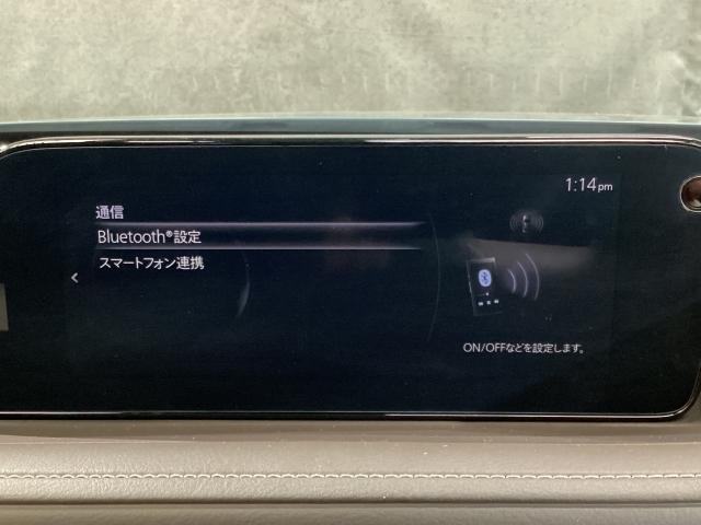 CX-30 2.0 20S Lパッケージ 4WD スマートブレーキ 1オーナー Bluetooth対応 LKAS 本革シート 地デジ クリソナ 点検記録簿 アドバンストキー AWD DVD ナビTV Dレコ 横滑り防止装置 LEDヘッドライト ETC(19枚目)