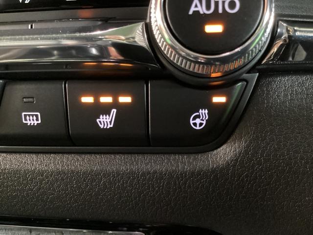 CX-30 2.0 20S Lパッケージ 4WD スマートブレーキ 1オーナー Bluetooth対応 LKAS 本革シート 地デジ クリソナ 点検記録簿 アドバンストキー AWD DVD ナビTV Dレコ 横滑り防止装置 LEDヘッドライト ETC(21枚目)