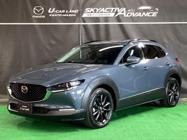 CX-30 2.0 20S Lパッケージ 4WD スマートブレーキ 1オーナー Bluetooth対応 LKAS 本革シート 地デジ クリソナ 点検記録簿 アドバンストキー AWD DVD ナビTV Dレコ 横滑り防止装置 LEDヘッドライト ETC(35枚目)