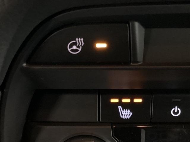 ＣＸ－８ ２．２　ＸＤ　ブラックトーン　エディション　ディーゼルターボ　３６０ビュー　電動リヤゲート　衝突軽減装置　追従クルコン　車線逸脱警報装置　運転席パワーシート　ＬＥＤヘッド　１オーナー　Ｂｌｕｅｔｏｏｔｈ　オートマチックハイビーム　コーナーセンサー　オートライト（22枚目）