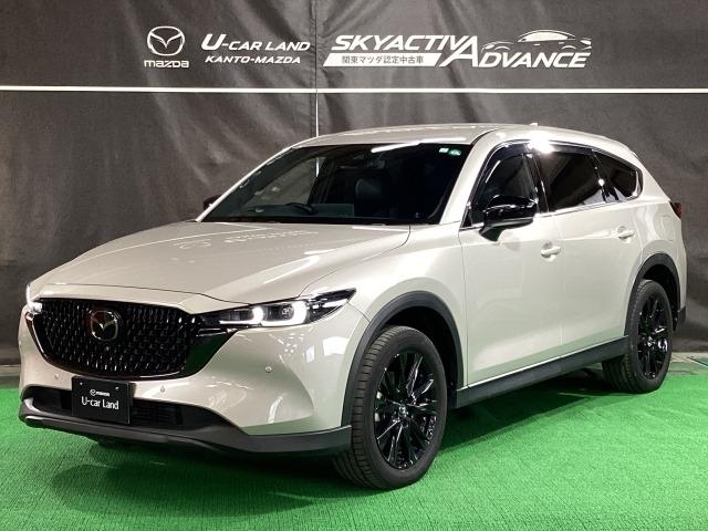 ＣＸ－８ ２．２　ＸＤ　ブラックトーン　エディション　ディーゼルターボ　３６０ビュー　電動リヤゲート　衝突軽減装置　追従クルコン　車線逸脱警報装置　運転席パワーシート　ＬＥＤヘッド　１オーナー　Ｂｌｕｅｔｏｏｔｈ　オートマチックハイビーム　コーナーセンサー　オートライト（35枚目）