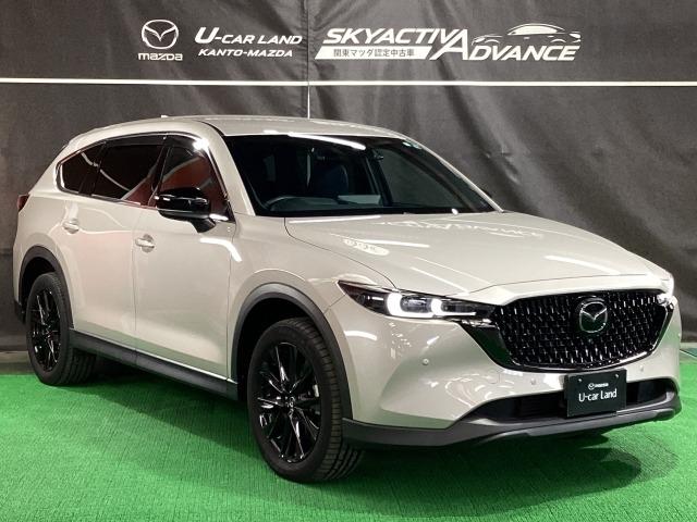 ＣＸ－８ ２．２　ＸＤ　ブラックトーン　エディション　ディーゼルターボ　３６０ビュー　電動リヤゲート　衝突軽減装置　追従クルコン　車線逸脱警報装置　運転席パワーシート　ＬＥＤヘッド　１オーナー　Ｂｌｕｅｔｏｏｔｈ　オートマチックハイビーム　コーナーセンサー　オートライト（40枚目）