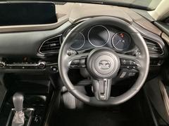 �����ޤǺ����ޤ줿¤�����������ǤⱿž���ơؿ��ϰ��Ρ٤�ڤ��ߤ����ʤ�ޤ������󡢥���ޤ˿���Ƥ��μ�����̣��äƤ��������� 2