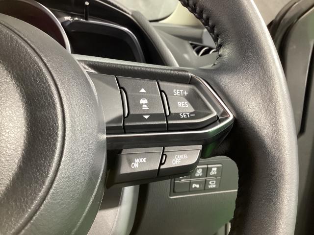 MAZDA2 15BD 4WD 雹害車 シートヒーター 地デジチューナー 360°カメラ アダプティブクルーズコントロール 衝突軽減ブレーキ コーナーセンサー LEDライト Bluetoothオーディオ レーンキープアシスト 4WD(24枚目)