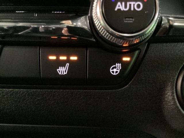 MAZDA3ファストバック 1.5 15S ブラック セレクション 360度モニター 携帯充電Qi カープレイ対応 元当社試乗車 シートヒーター パワーシート フルセグ レーダークルーズコントロール 360度ビューモニター LEDヘッドライト(21枚目)