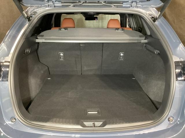 ＣＸ－５ ２．２　ＸＤ　レトロスポーツエディション　ディーゼルターボ　社用車　エアバック　フルオートエアコン　地上デジタル　ＬＥＤヘッドライト　パワーリフトゲート　パワステ　アイドリングストップ　ワンオーナー　ＵＳＢ　横滑り防止装置　パーキングセンサー　ＡＷＤ　キ－レス（11枚目）