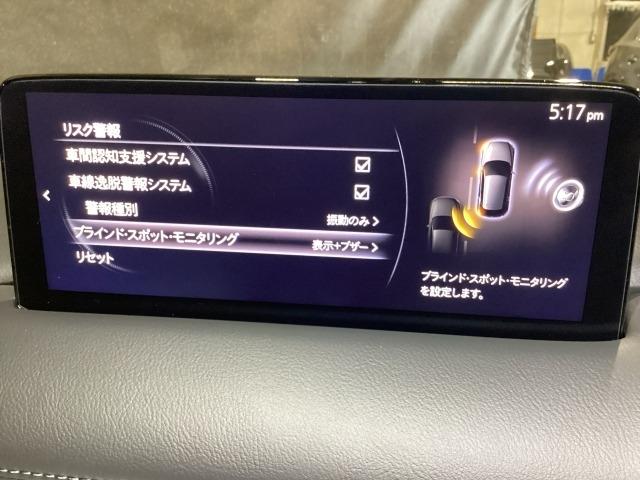 ＣＸ－５ ２．２　ＸＤ　レトロスポーツエディション　ディーゼルターボ　社用車　エアバック　フルオートエアコン　地上デジタル　ＬＥＤヘッドライト　パワーリフトゲート　パワステ　アイドリングストップ　ワンオーナー　ＵＳＢ　横滑り防止装置　パーキングセンサー　ＡＷＤ　キ－レス（16枚目）