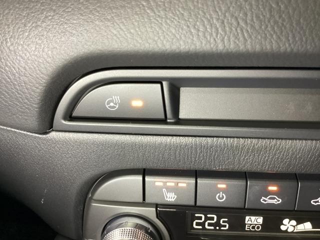 ＣＸ－５ ２．２　ＸＤ　レトロスポーツエディション　ディーゼルターボ　社用車　エアバック　フルオートエアコン　地上デジタル　ＬＥＤヘッドライト　パワーリフトゲート　パワステ　アイドリングストップ　ワンオーナー　ＵＳＢ　横滑り防止装置　パーキングセンサー　ＡＷＤ　キ－レス（22枚目）