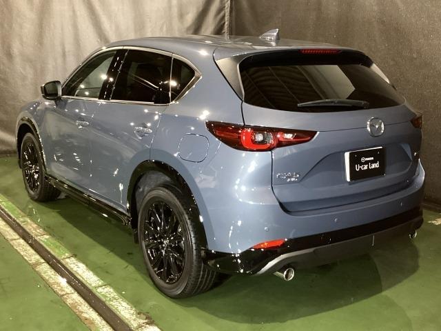 ＣＸ－５ ２．２　ＸＤ　レトロスポーツエディション　ディーゼルターボ　社用車　エアバック　フルオートエアコン　地上デジタル　ＬＥＤヘッドライト　パワーリフトゲート　パワステ　アイドリングストップ　ワンオーナー　ＵＳＢ　横滑り防止装置　パーキングセンサー　ＡＷＤ　キ－レス（37枚目）