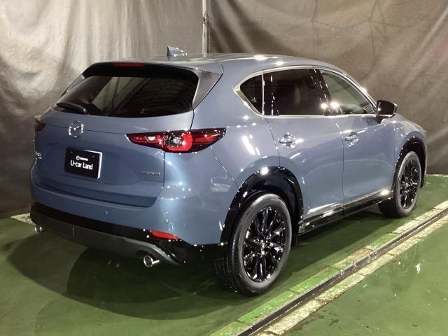 ＣＸ－５ ２．２　ＸＤ　レトロスポーツエディション　ディーゼルターボ　社用車　エアバック　フルオートエアコン　地上デジタル　ＬＥＤヘッドライト　パワーリフトゲート　パワステ　アイドリングストップ　ワンオーナー　ＵＳＢ　横滑り防止装置　パーキングセンサー　ＡＷＤ　キ－レス（38枚目）