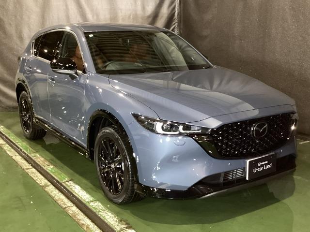 ＣＸ－５ ２．２　ＸＤ　レトロスポーツエディション　ディーゼルターボ　社用車　エアバック　フルオートエアコン　地上デジタル　ＬＥＤヘッドライト　パワーリフトゲート　パワステ　アイドリングストップ　ワンオーナー　ＵＳＢ　横滑り防止装置　パーキングセンサー　ＡＷＤ　キ－レス（39枚目）