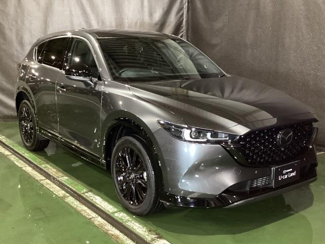 ＣＸ－５ ２．２　ＸＤ　スポーツ　アピアランス　ディーゼルターボ　３６０度ビュー　ソナー　パワーテールゲート　追従クルコン　ＢＴオーディオ　ＬＥＤライト　本革シート　レーンキープ　パワーシート　ドラレコ　シートヒーター　ＥＴＣ　ツインターボ　ＵＳＢ　オートハイビーム（40枚目）