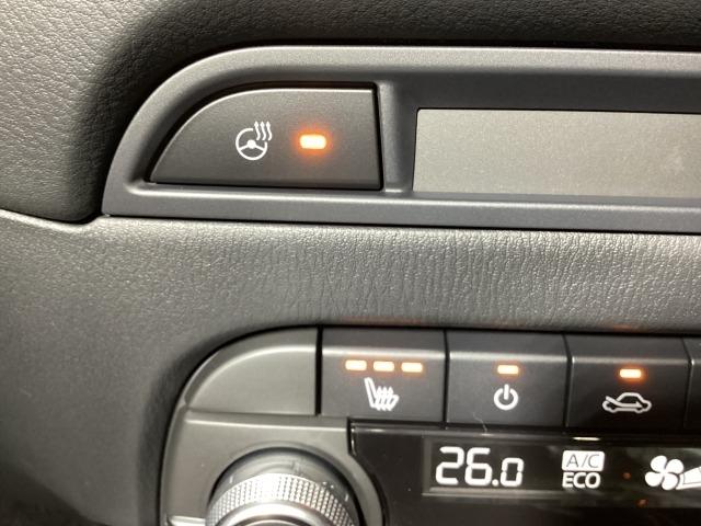 ＣＸ－５ ２．２　ＸＤ　スポーツ　アピアランス　ディーゼルターボ　４Ｗ　３６０度ビュー　ソナー　パワーテールゲート　追従クルコン　ＢＴオーディオ　ＬＥＤライト　本革シート　４ＷＤ　レーンキープ　パワーシート　ドラレコ　シートヒーター　ＥＴＣ　ツインターボ　ＵＳＢ　ナビＴＶ（22枚目）