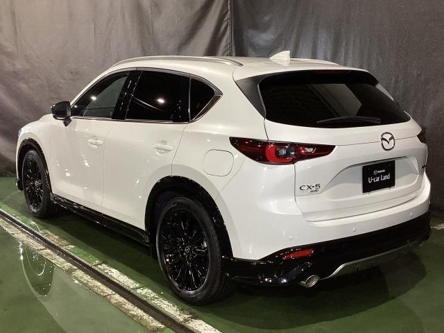 ＣＸ－５ ２．２　ＸＤ　スポーツ　アピアランス　ディーゼルターボ　４Ｗ　３６０度ビュー　ソナー　パワーテールゲート　追従クルコン　ＢＴオーディオ　ＬＥＤライト　本革シート　４ＷＤ　レーンキープ　パワーシート　ドラレコ　シートヒーター　ＥＴＣ　ツインターボ　ＵＳＢ　ナビＴＶ（38枚目）