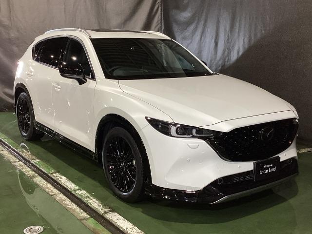 ＣＸ－５ ２．２　ＸＤ　スポーツ　アピアランス　ディーゼルターボ　４Ｗ　３６０度ビュー　ソナー　パワーテールゲート　追従クルコン　ＢＴオーディオ　ＬＥＤライト　本革シート　４ＷＤ　レーンキープ　パワーシート　ドラレコ　シートヒーター　ＥＴＣ　ツインターボ　ＵＳＢ　ナビＴＶ（40枚目）