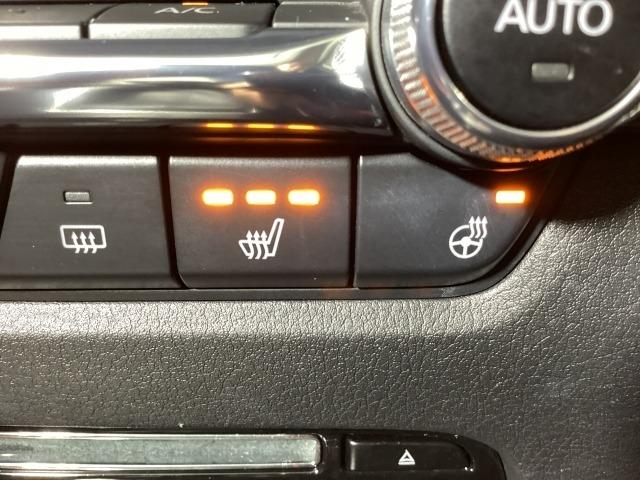 ＣＸ－３０ １．８　ＸＤ　１００周年　特別記念車　ディーゼルターボ　前席シートヒーター　ＬＥＤヘッドライト　ドライブレコーダー　レーダークルーズコントロール　全周囲カメラ　アイドリングストップ　Ｂｌｕｅｔｏｏｔｈ　電動シート　スマートキー　革シート　パワーバックドア（22枚目）