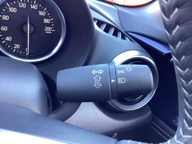 �[��ꎞ��A�������g���l���ȂǁA�w�b�h���C�g�_�E�����̔ς킵������J�����Ă����I�[�g���C�g����������Ă��܂��B